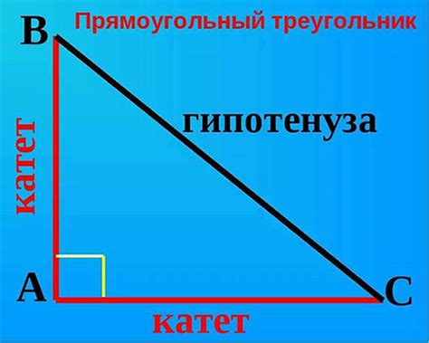 Определение катета и гипотенузы