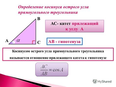 Определение катета треугольника