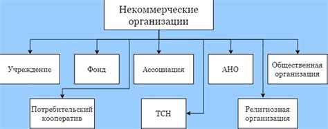 Определение коммерческой и некоммерческой организации