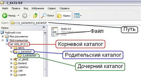 Определение корневой директории