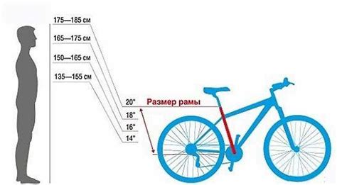 Определение подходящего размера велосипеда