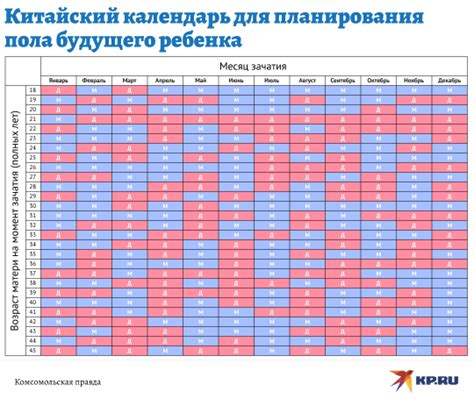 Определение пола ребенка на раннем сроке беременности