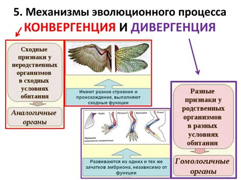 Определение породы в биологии