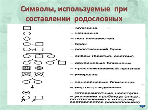 Определение продолжительности родословной