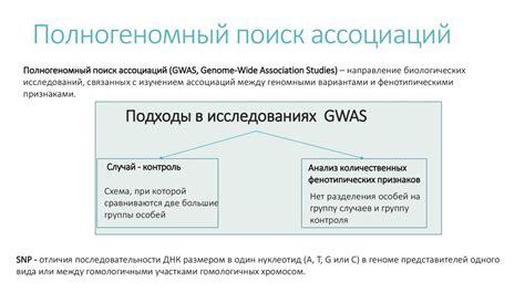 Определение происхождения через анализ фенотипических признаков