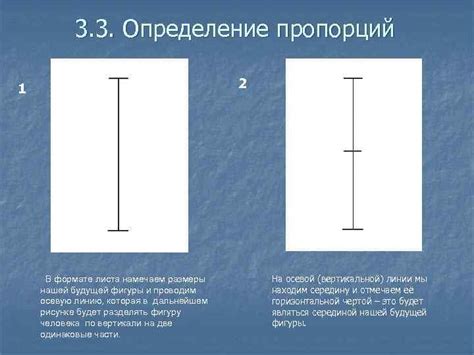 Определение пропорций собачки