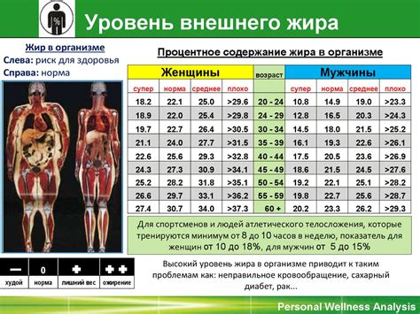 Определение процента жира в организме