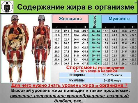 Определение процента жира в организме женщины: важность и методы измерения