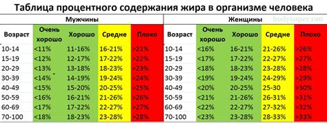 Определение процента жиров в организме по формуле: диагностика и расчеты