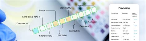 Определение рН крови с помощью специальных тест-полосок