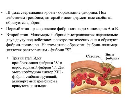 Определение состояния крови