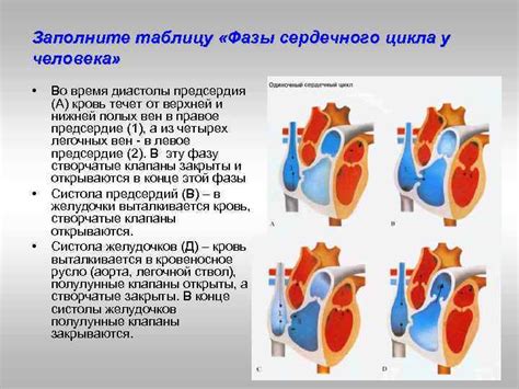 Определение состояния сердечной мышцы