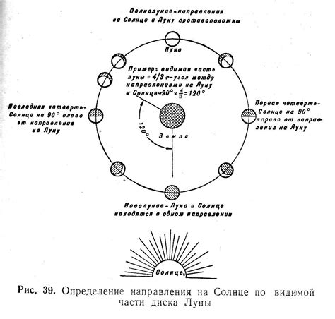 Определение сторон света: шаг за шагом