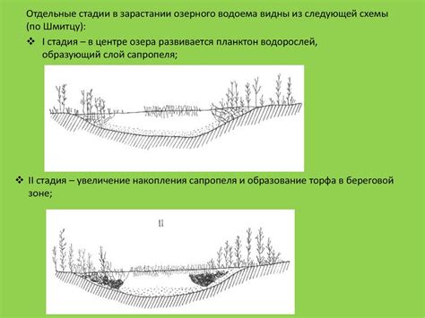 Определение торфа