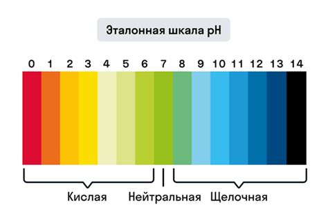 Определение pH и его значение