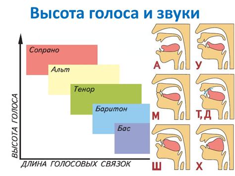 Определите желаемый тип голоса