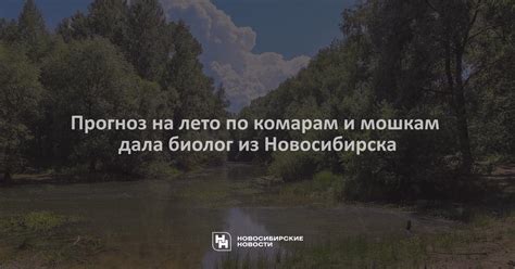 Определите направление по мошкам и мухам