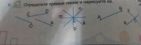 Определите основные линии