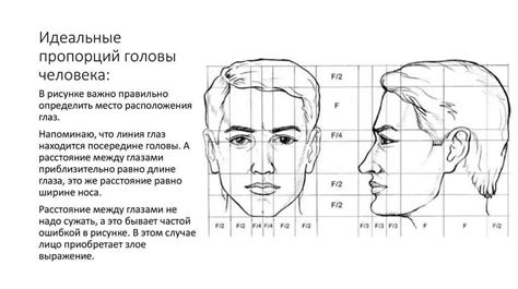 Определите основные пропорции лица