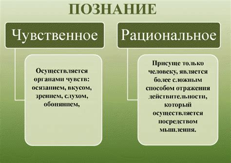 Определите основные формы котенка