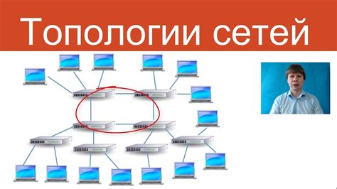 Определите тип сети - основная или тестовая