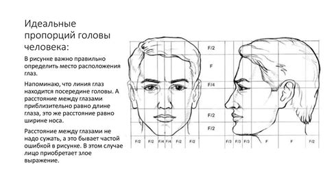 Определяем основные пропорции головы и лица