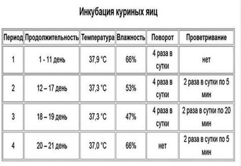 Оптимальная температура в инкубаторе