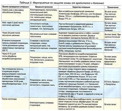 Оптимальное время для опрыскивания