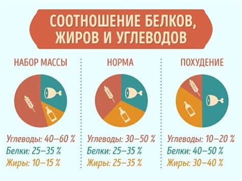 Оптимальное время потребления белка