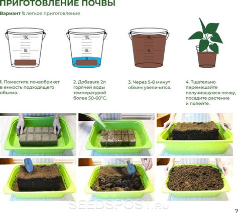 Оптимальные параметры для роста растений