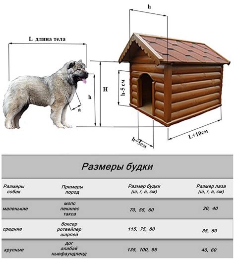 Оптимальные размеры и форма будки