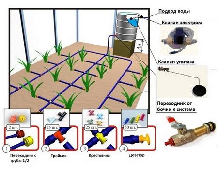 Оптимальные условия полива и освещения