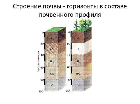 Оптимальный подбор почвенного состава