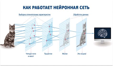 Оптимизация нейронных сетей