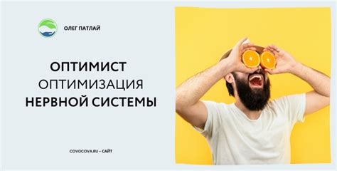 Оптимизация работы нервной системы