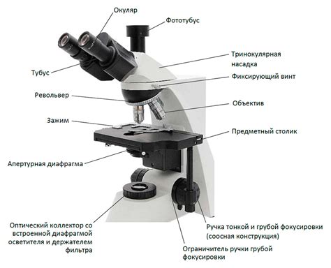 Оптическая система микроскопа: ключевая роль объектива