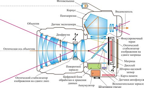 Оптическая структура объектива: элементы и их функции