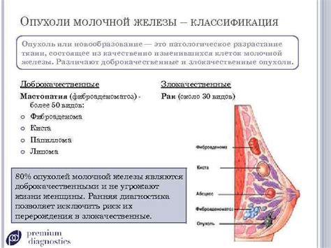 Опухоль или новообразование