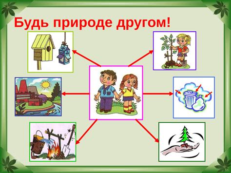 Опыт работы в сфере экологии и охраны природы