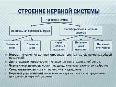 Орбиталы: определение и функциональное значение