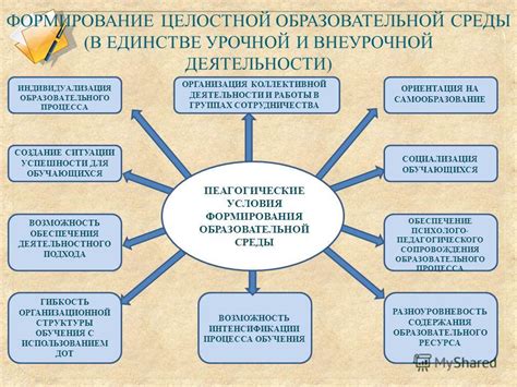 Организация коллективной работы и сотрудничества