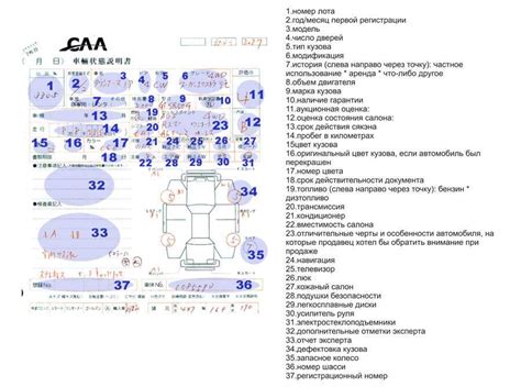 Организация поиска аукционного листа