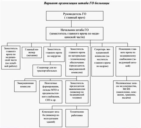 Организация работы ЛПУ