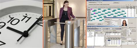 Организация рабочего времени сотрудников
