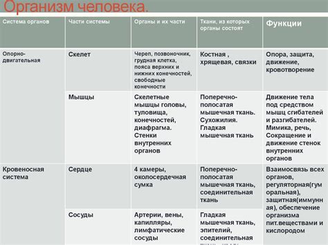 Организм и его возрастные преобразования