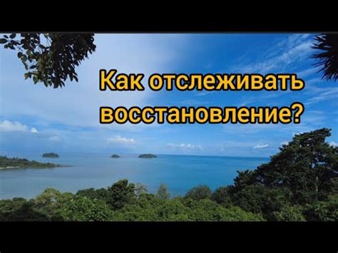 Организуйте свое восстановление