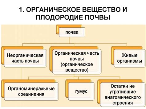 Органическое получение питательной почвы