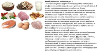 Орехи для получения белка и энергии