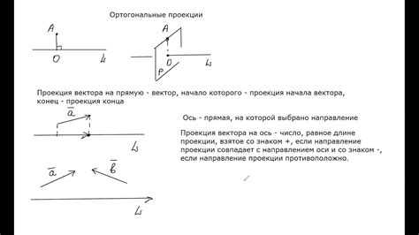 Ортогональные векторы в математике