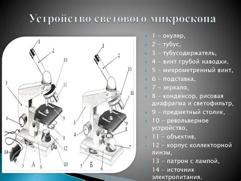 Осветительные системы микроскопа: от источника света до диафрагмы